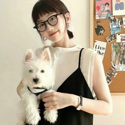 美国心黑道情