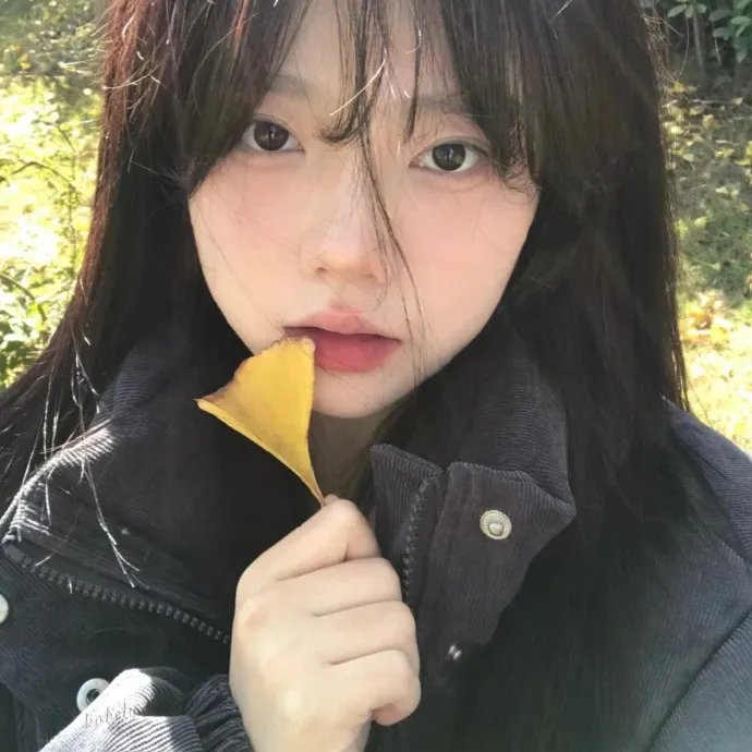 鸽之翼